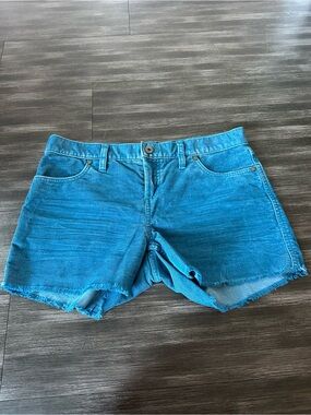 Carve Oahu Shorts